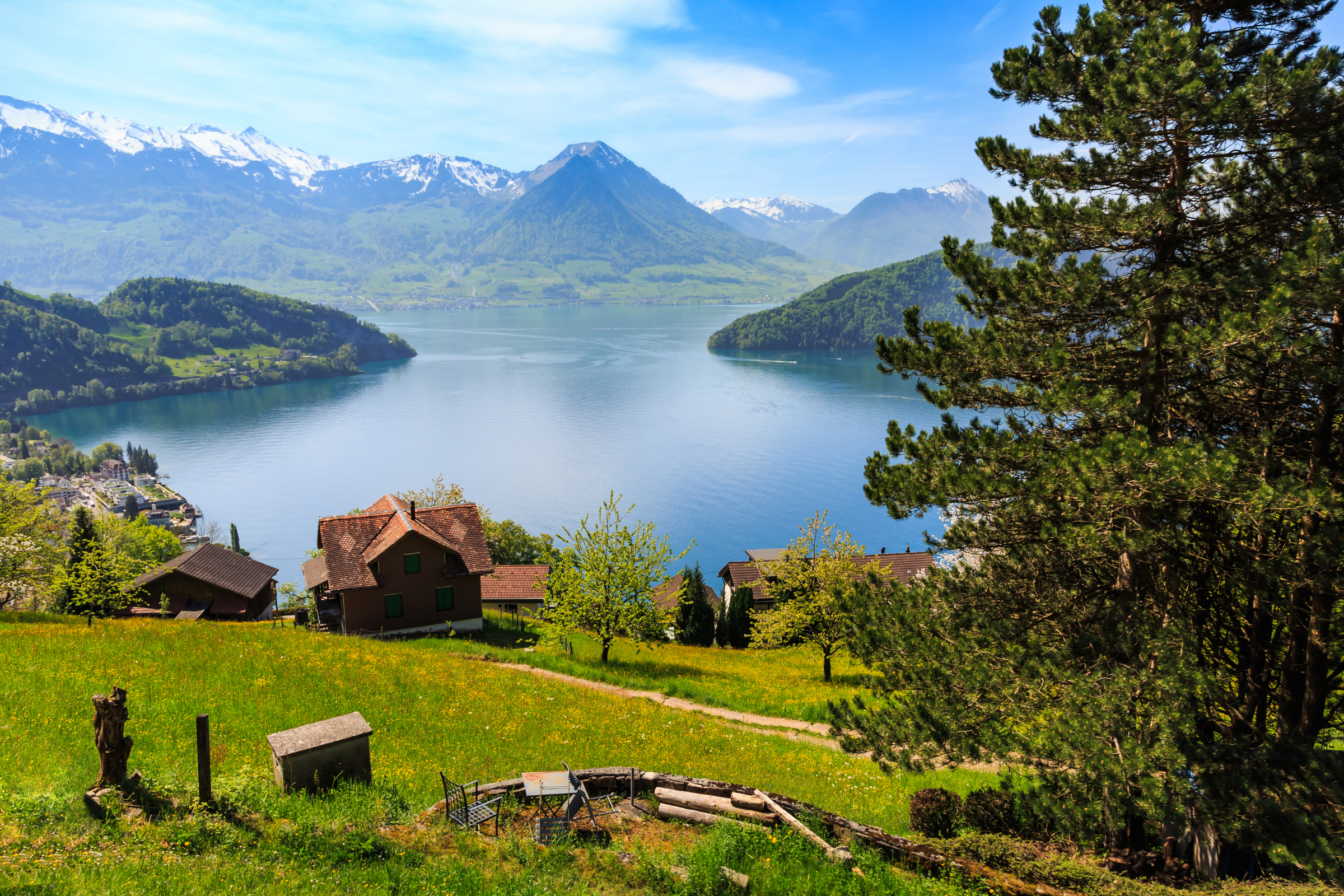 mount rigi.webp